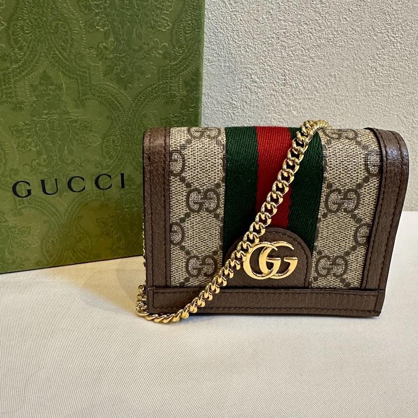 GUCCI グッチ　オフィディア GGスプリーム 625711